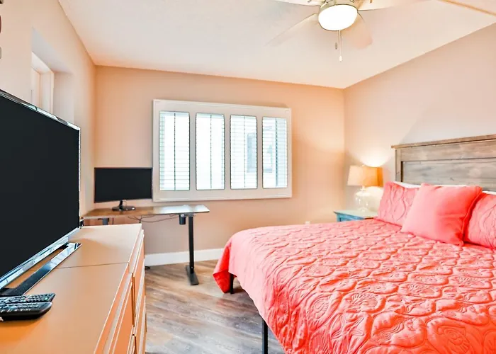 Palms 404